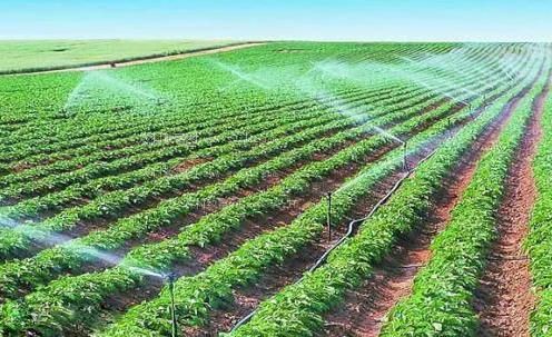 掰逼啪啪农田高 效节水灌溉
